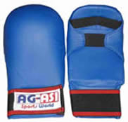 Kumite Gloves